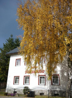 Villa Plischke, Lipova Lazne